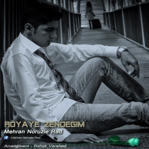   مهران نوروزی راد