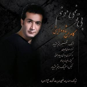   کامران شاه ولایتی