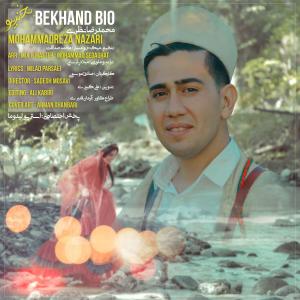   محمدرضا نظری