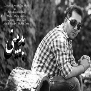   مهدی حسن زاده