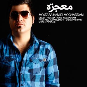   مجتبی حمیدی مقدم