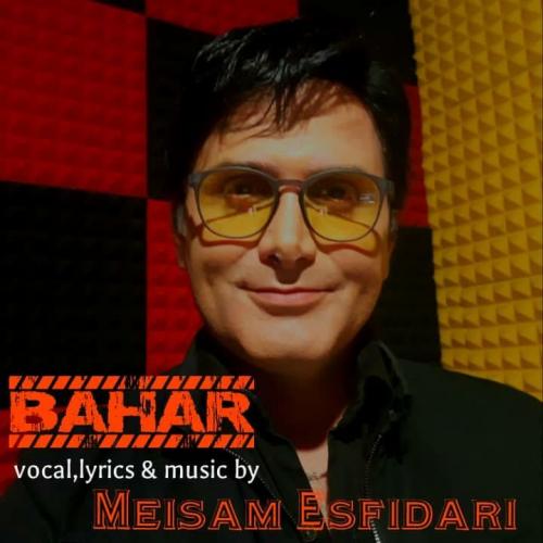   میثم اسفیداری