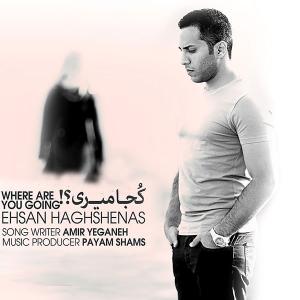   احسان حق شناس