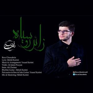   رضا قصاب نیا