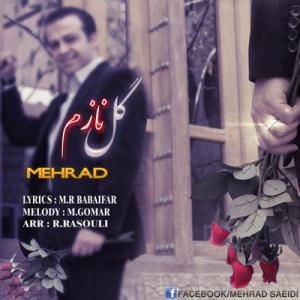   مهراد سعیدی