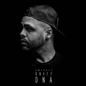   امیر علی اسنیف