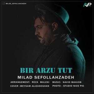   میلاد سیف الله زاده