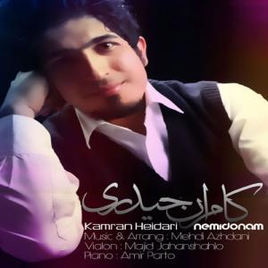   کامران حیدری