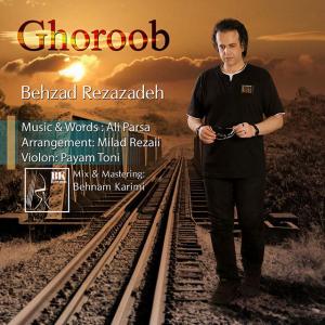   بهزاد رضازاده