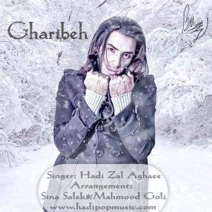   هادی زال آقایی