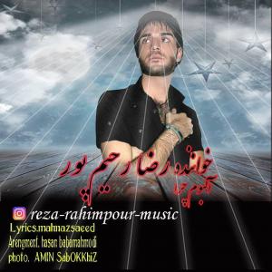   رضا رحیم پور