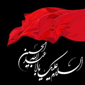   واریوس آرتیست