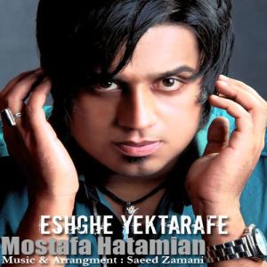   مصطفی حاتمیان