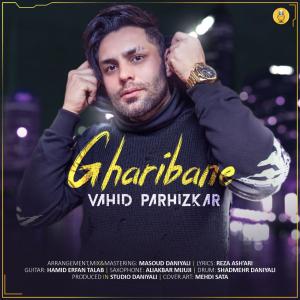   مسعود دانیالی و وحید پرهیزکار