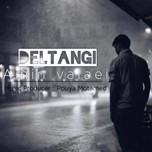   امین والایی