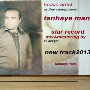   اصغر صادق زاده