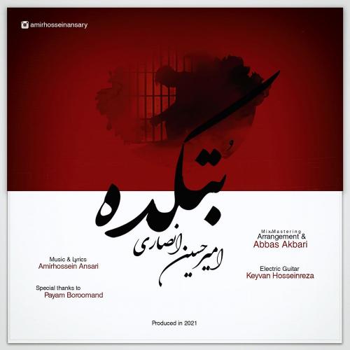   امیرحسین انصاری