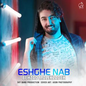   بهزاد ملک زاده