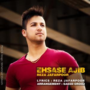   رضا جعفرپور