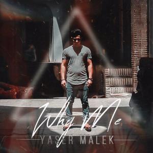   فرزاد امیدی و یاسر ملک