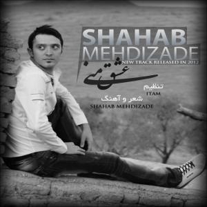   شهاب مهدی زاده