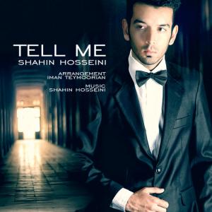   شاهین حسینی