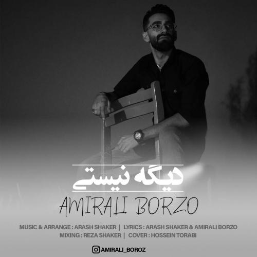   امیرعلی برزو