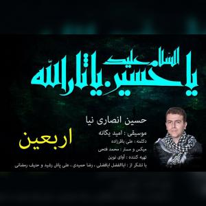   حسین انصاری نیا