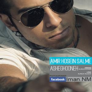   امیر حسین سالم