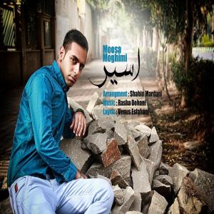   موسی مقیمی