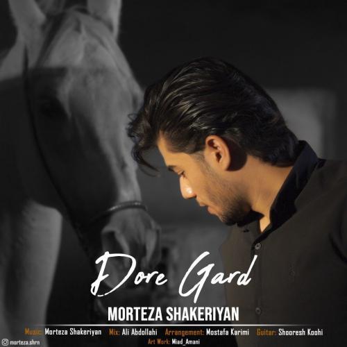   مرتضی شاکریان