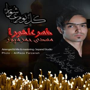   مهدی همزه پور