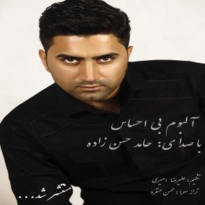   حمیدحسن زاده