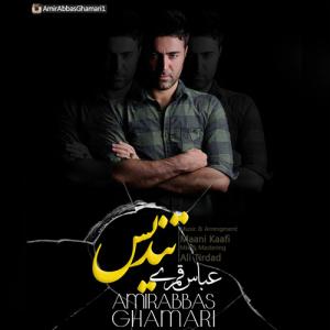   امیر عباس قمری