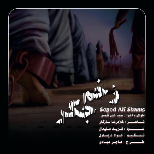   سید علی شمس