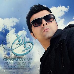   قاسم مولایی