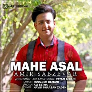   امیر سبزوار