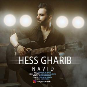   نوید علی محمدی