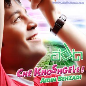   آیدین بهزادی