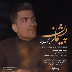   محسن ملک پور