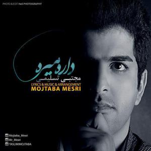   مجتبی تسلیمی