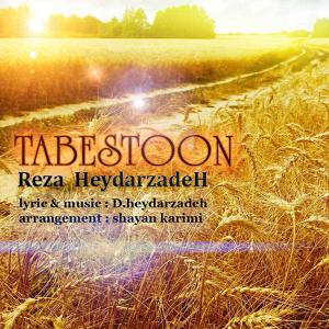   رضا حیدر زاده