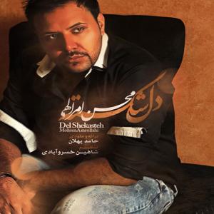   محسن امراللهی