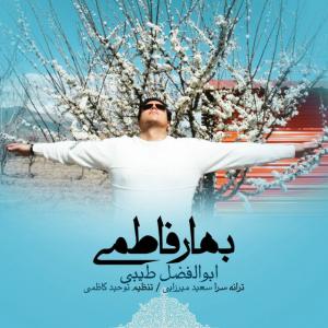   ابوالفضل طیبی