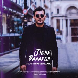   مهدی حسین وند