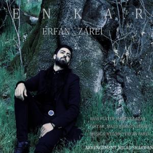   عرفان زارعی