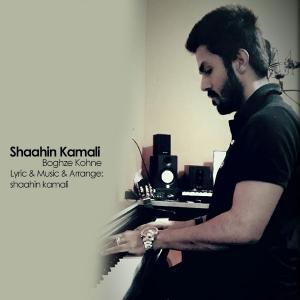   شاهین کمالی