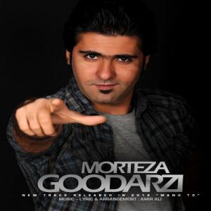   مرتضی گودرزی