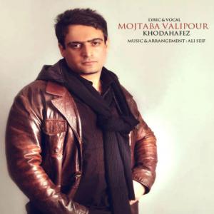   مجتبی. ولی پور