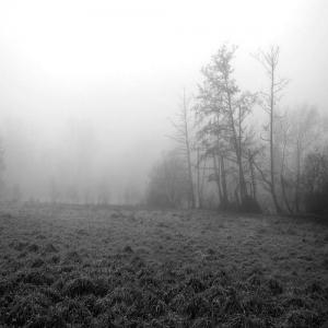   حسین نیلچیان